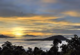 Borneo Family Adventure