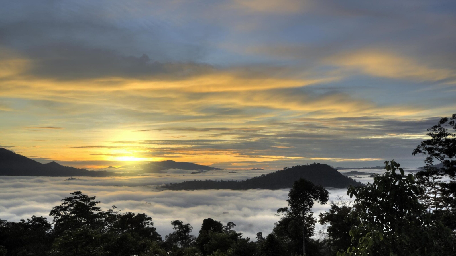 Golden sunset over a misty rainforest canopy and distant mountains in Danum Valley, Borneo.