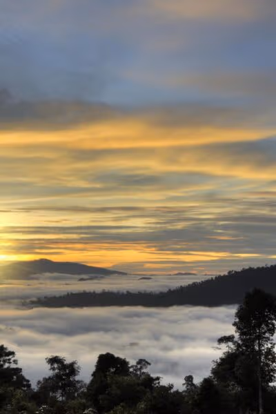 Borneo Family Adventure