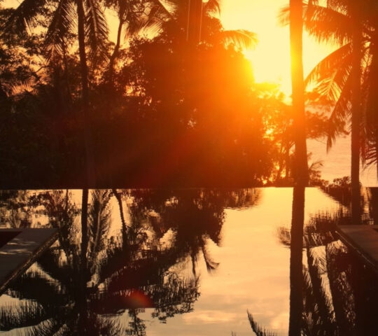 Exterior of a pool area with palm trees and an orange sunset being reflected in the water.