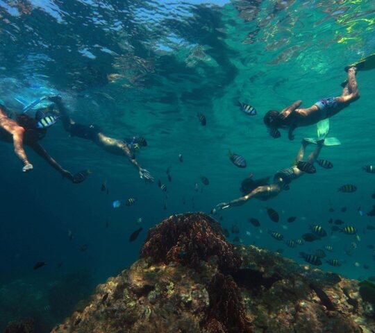 Snorkeling family