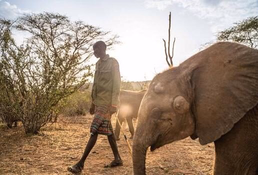 A traditional wooden boat floats down the Mekong river, visit Reteti Elephant Sanctuary while staying at Sarara Camp and the stunning Seville skyline glowing under a winter sun
