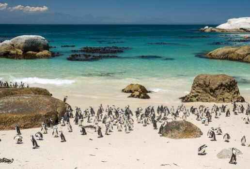 One of our favourite family acitivies: wathcing the sweet African penguins at Boulders Beach. Azure waters at Achensee in the Austrian Alps and the breathtaking Mount Rinjani on Lombok Island.