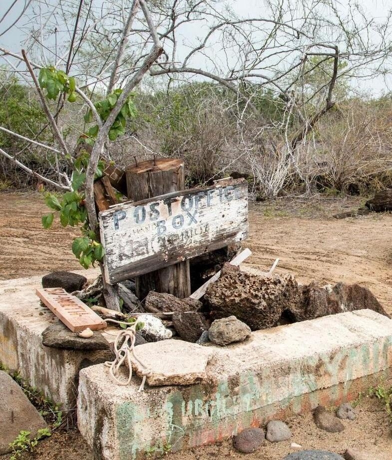 Relax on the soft white sands of Tortuga Bay or visit the historic Post Office Bay on Floreana Island.