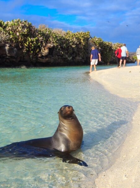 The 9 Best Things to Do in the Galápagos Islands