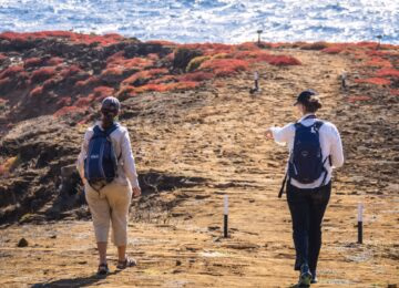 Galapagos thumbnail