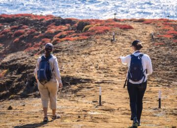 Galapagos thumbnail