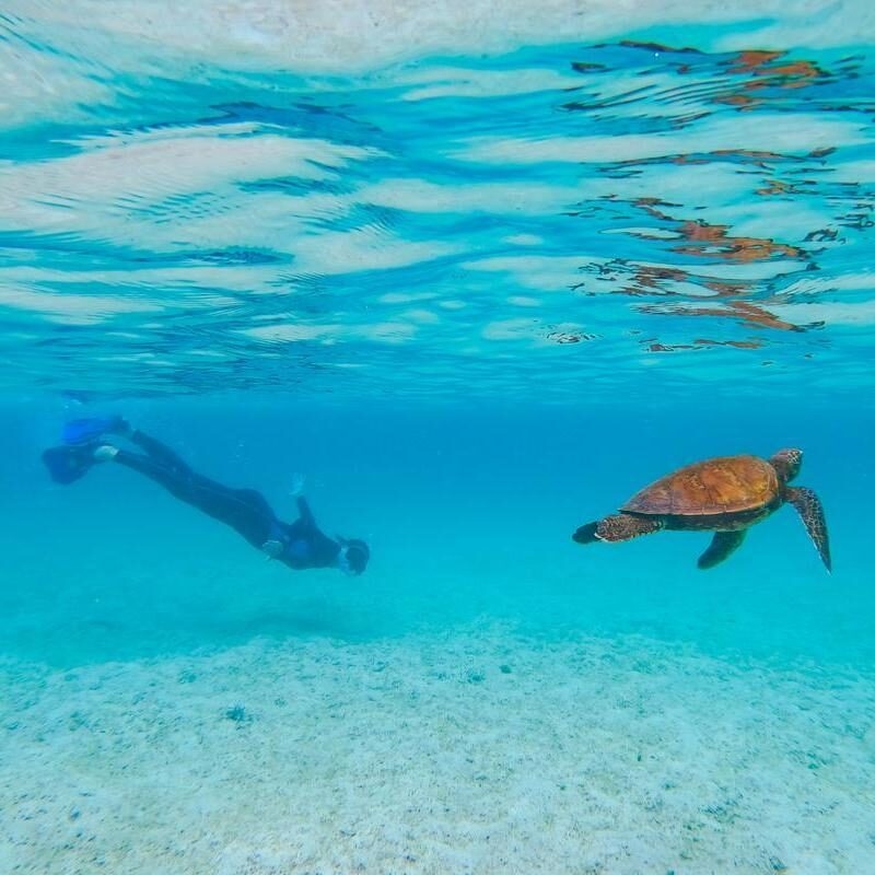 Snorkelling on the galapagos islands