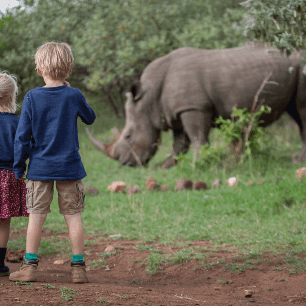 Two children watching a rhino at a sanctuary in House in the Wild