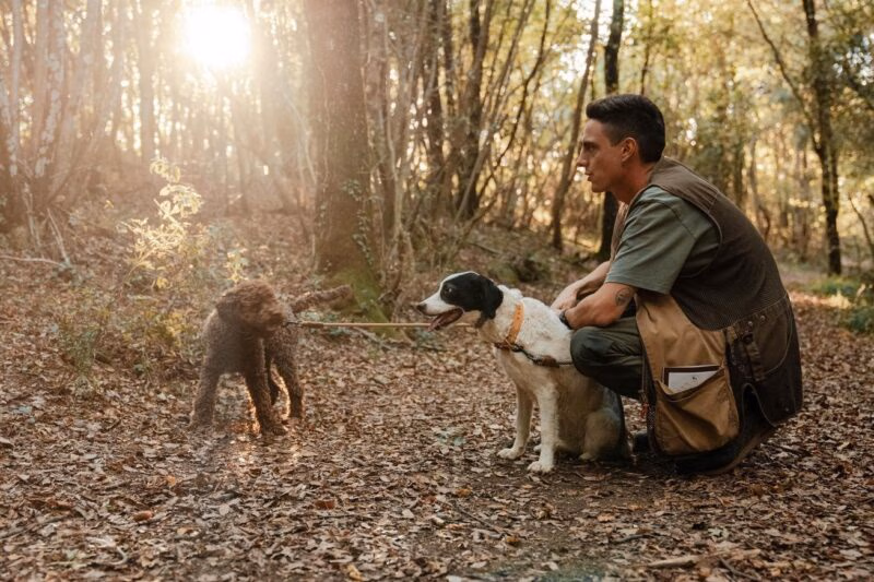 Luxury European Tours - A truffle hunting guide with this dogs in Italy