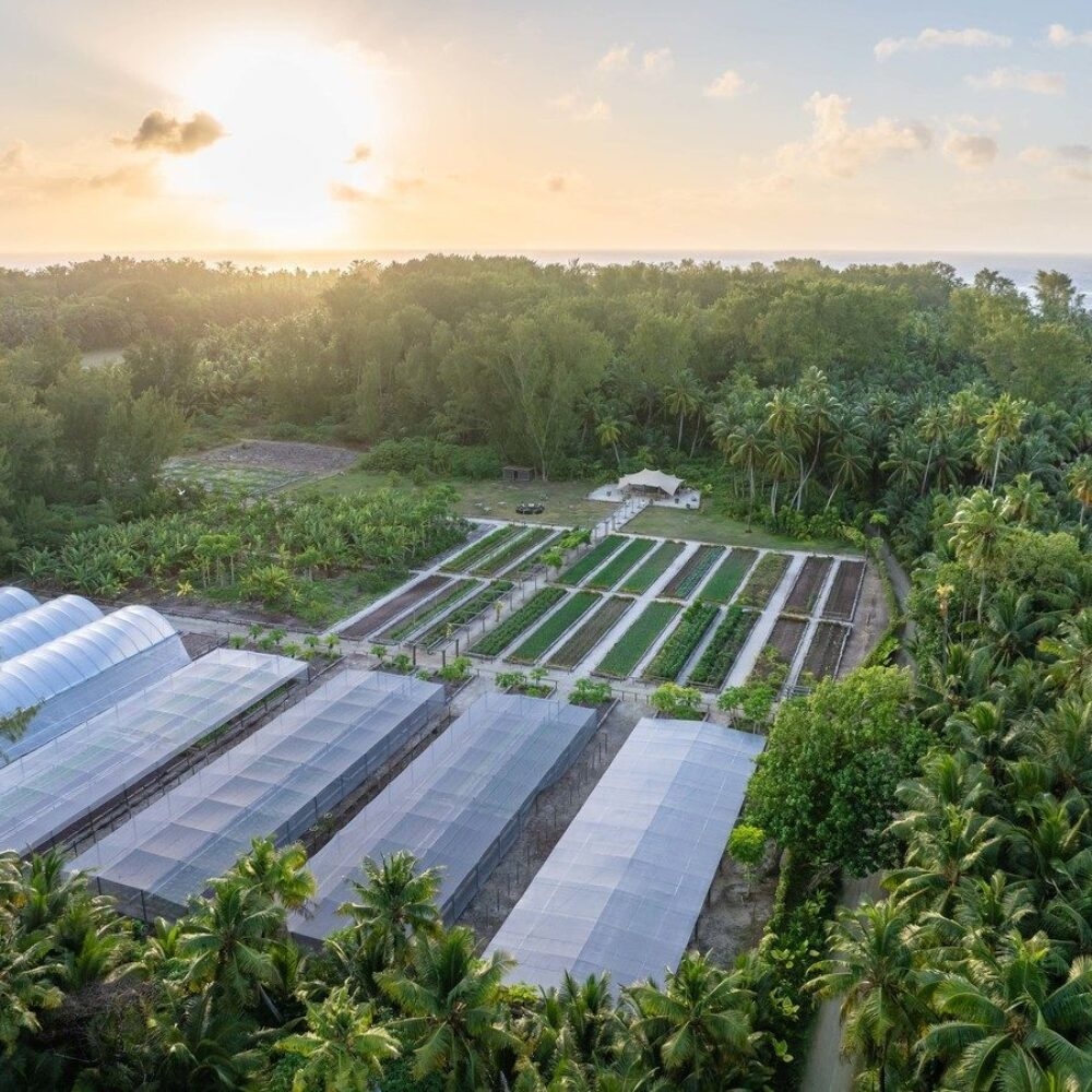 Alphone's organic farm as seen from above.