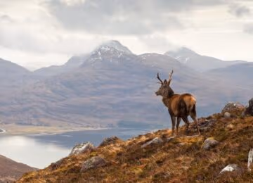 Scottish Highlands thumbnail