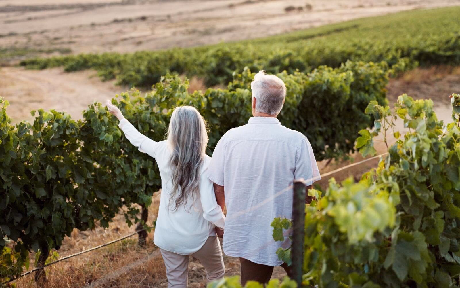 Celebrate your love hand-in-hand while strolling through vineyards during a romantic trip in France.