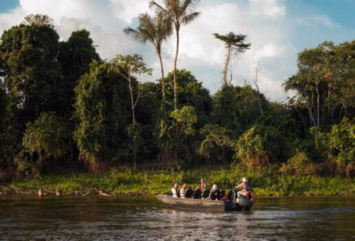A blue-footed booby watches over its chicks, a group takes a leisurely boat trip in the Peruvian Amazon and a pair of jaguars rest in a Pantanal forest area.