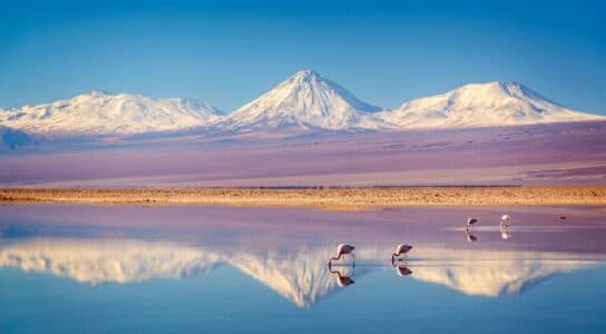 Stargaze in the Atacama Desert preview image