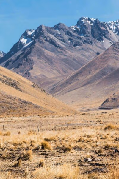 Culture and Connection in Peru