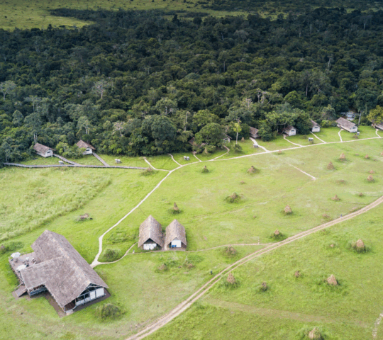 Wide view of Mboko Lodge from above, with the main pavilion in an open area and several chalets along the edge of a forest