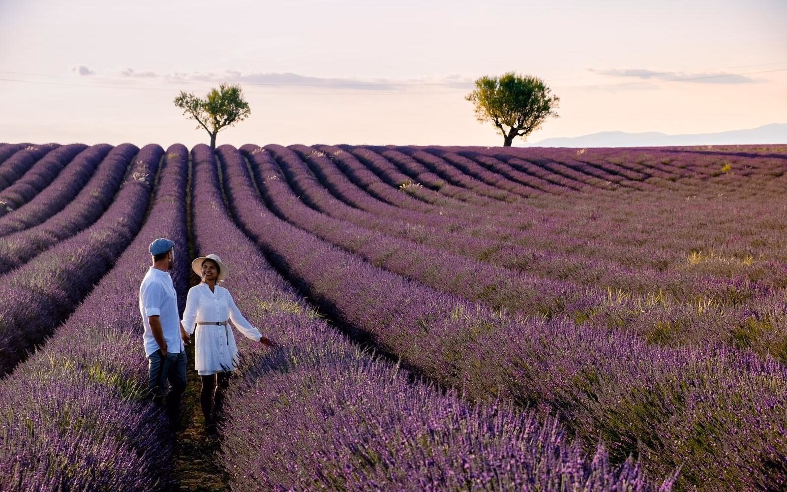 A couple enjoying the soft evening light among blooming lavender fields in Provence.