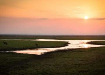 Gorongosa National Park thumbnail