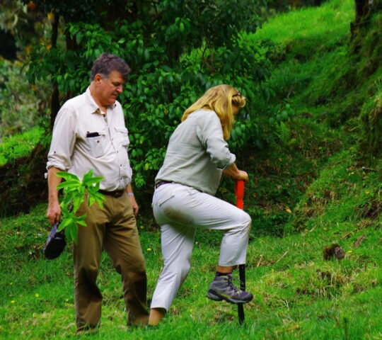 Planting native saplings on the lush slopes of Bosque Vivo, a hands-on moment that supports high-altitude reforestation.