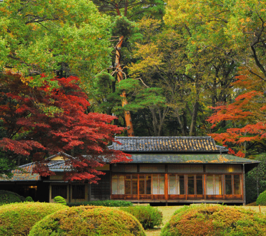 Breathtaking view of the Shisendo temple in Tokyo, Japan surrounded by colorful plants and trees