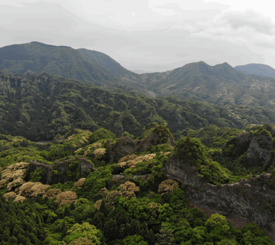 Breathtaking view of lush green trees and vast mountains in the Kunisaki Peninsula in Kyushu, Japan