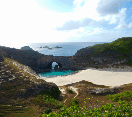 Minami-jima landscape in ogasawara island, Tokyo.