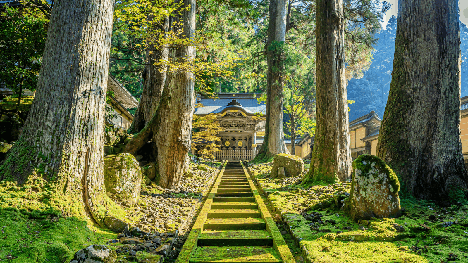 Eiheiji-Temple hidden between trees in Fukui, Japan.