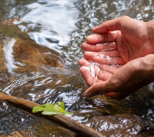 Hands drawing fresh, pure water from the spring.