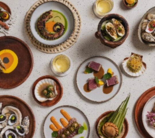 dining feast Nicoya Peninsula Costa Rica