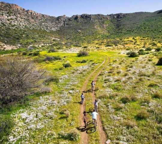 A family cycling through the Bushmans Kloof Reserve in South Africa's Cederberg Mountains.