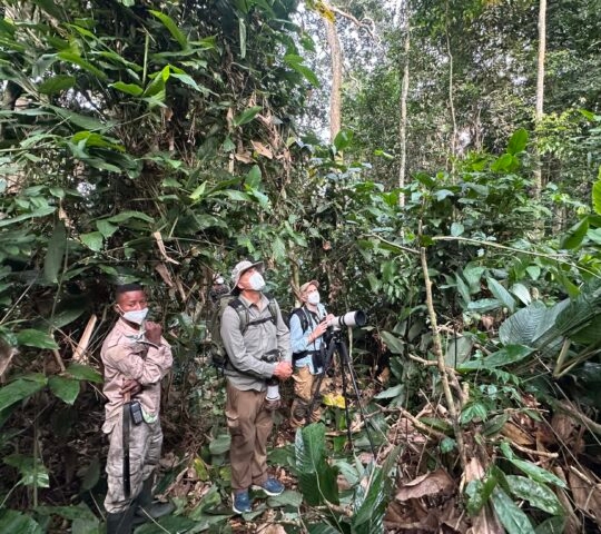 Three men stand in a thick forest; one uses a camera on a tripod while another looks upward.