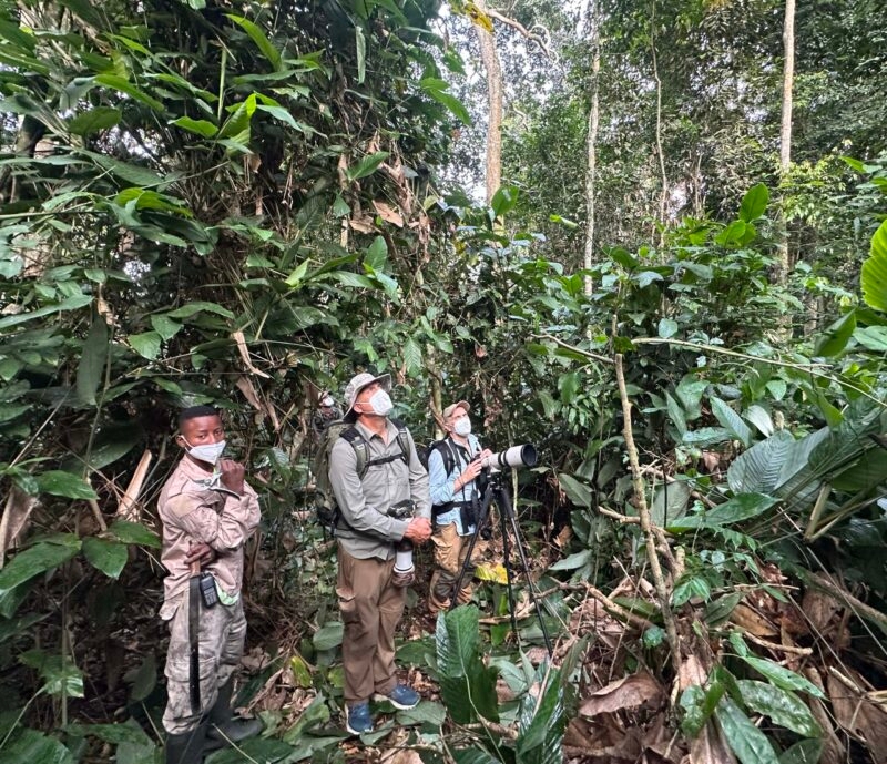 Three men stand in a thick forest; one uses a camera on a tripod while another looks upward.