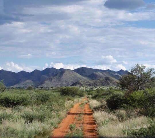 The green landscape of Tswalu Kalahari Reserve in South Africa with mountains in the background.