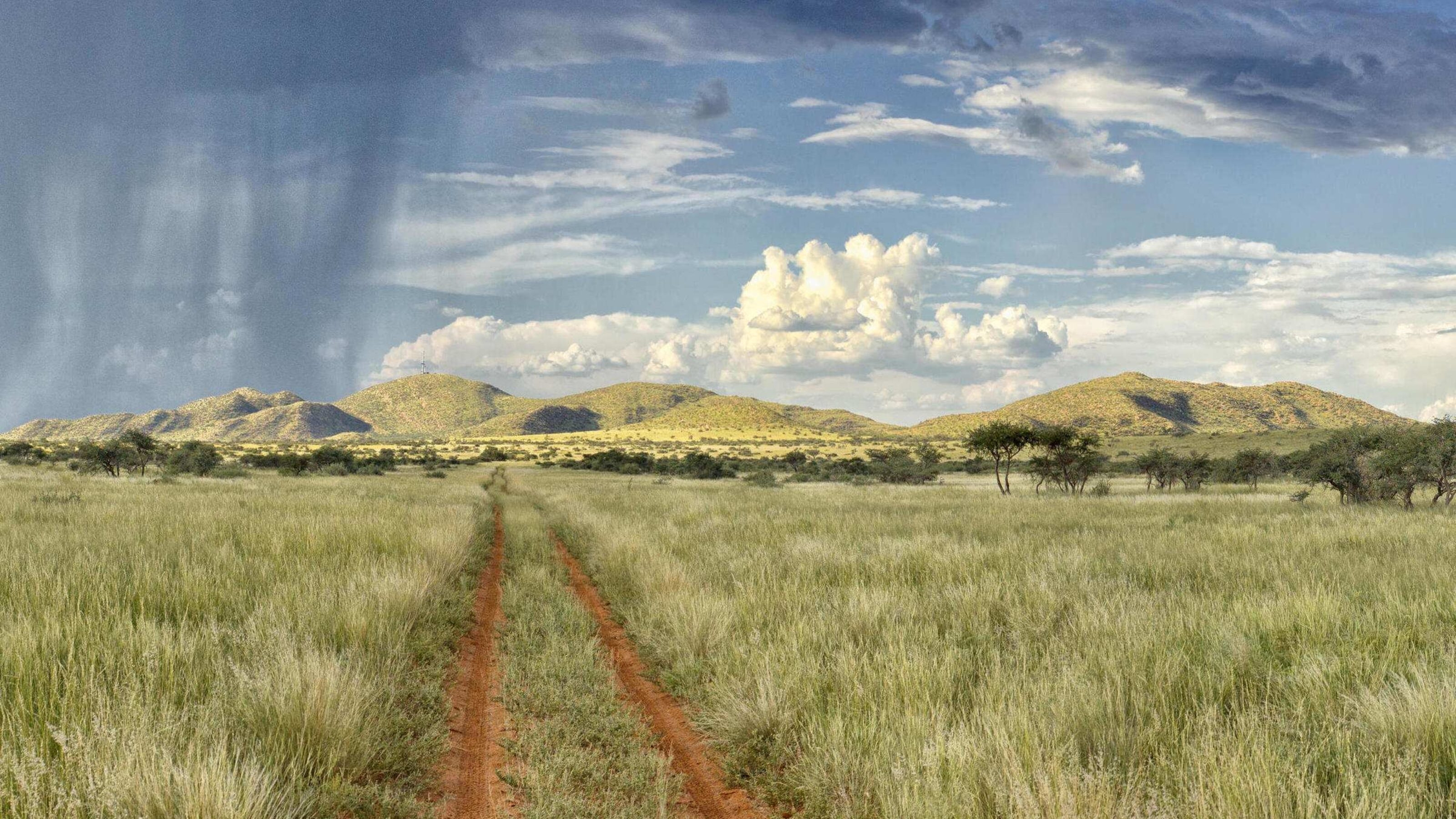 The grassy plains of the Tswalu Kalahari Reserve in South-Africa with mountains in the background.