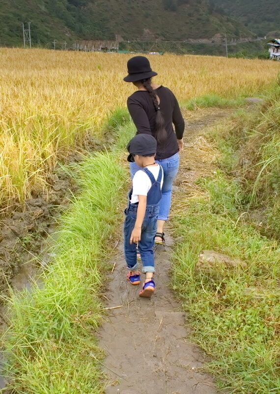 The road to Chimi Lhakhang monastery