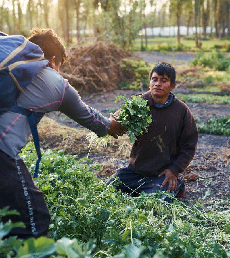 Two people gardening in Xochimilco, Mexico.