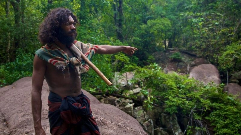 A Veddha elder in Sri Lanka pointing to plants in a forest.