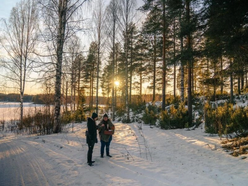 Foraging in Northern Sweden's snowy landcape with a member from the Sámi community.