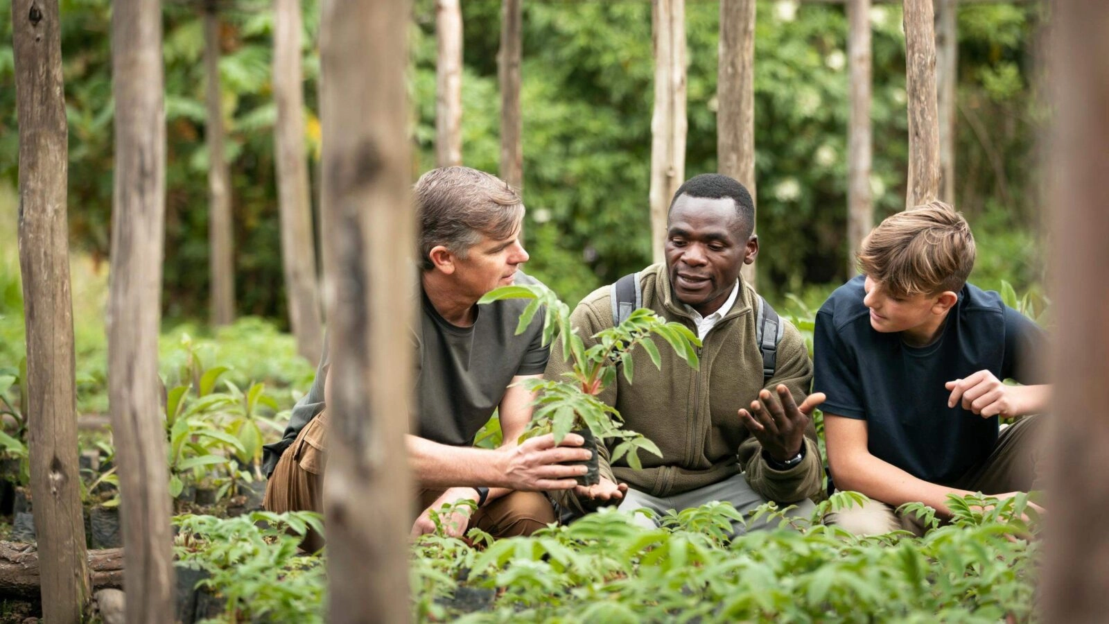 Tree planting at Wilderness Bisate Lodge in Rwanda.