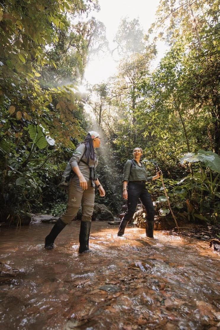 Two people on a hike in the jungle.