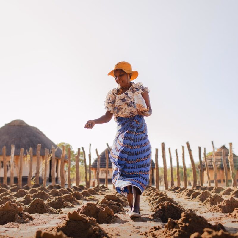 A woman planting seeds in a field for a positive impact.