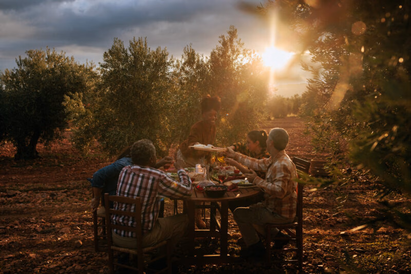 Family having dinner together in an olive grove at sunset celebrating the harvest