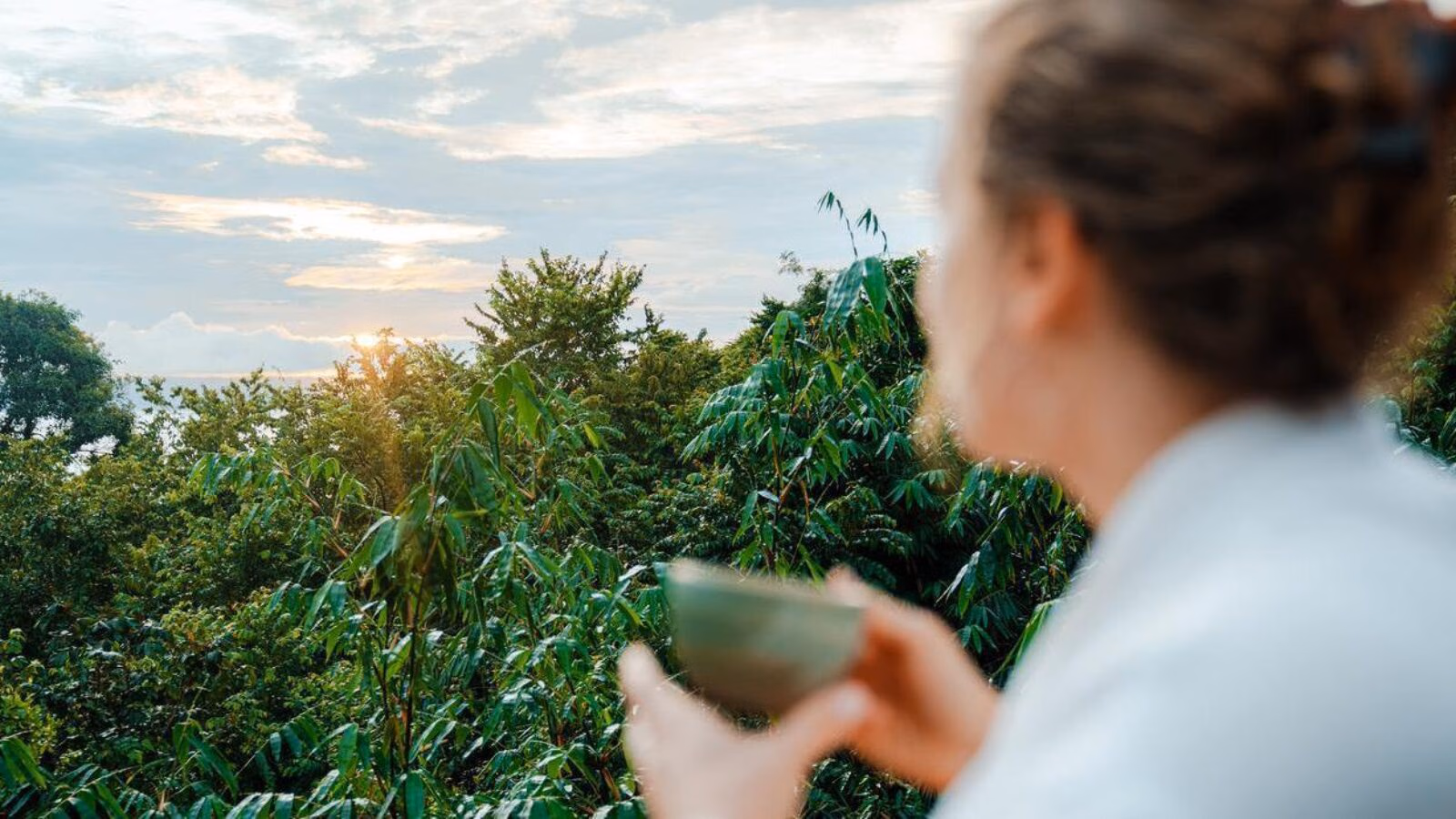 Woman on a luxury holiday drinks from a tea cup overlooking natural landscape as the sun rises over trees.