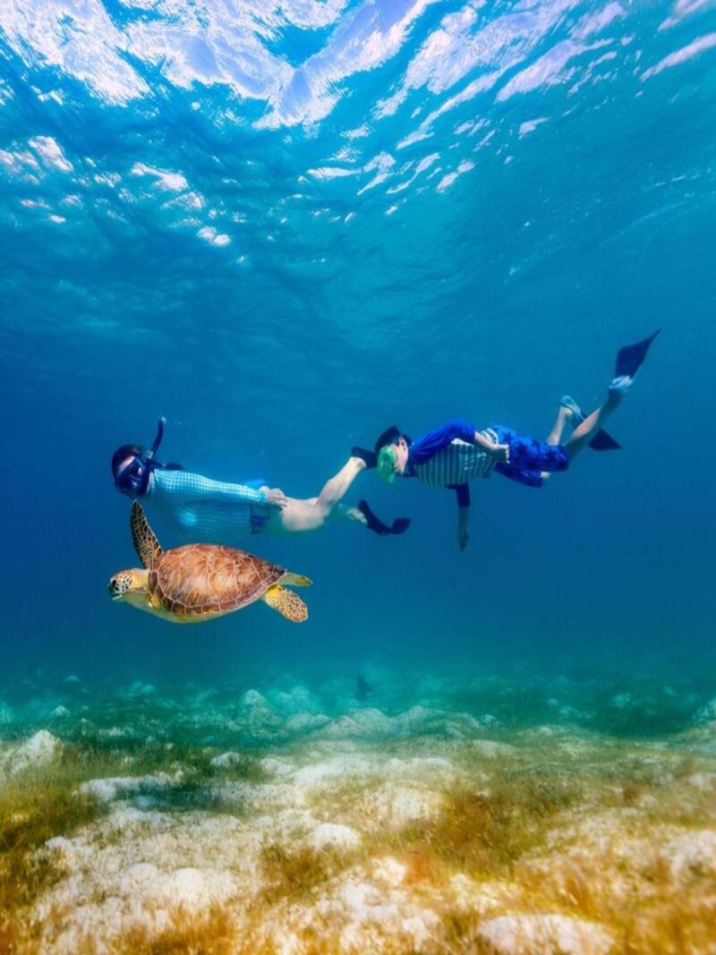 Family snorkeling with sea turtle