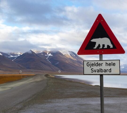 A polar bear warning sign next to water in Svalbard