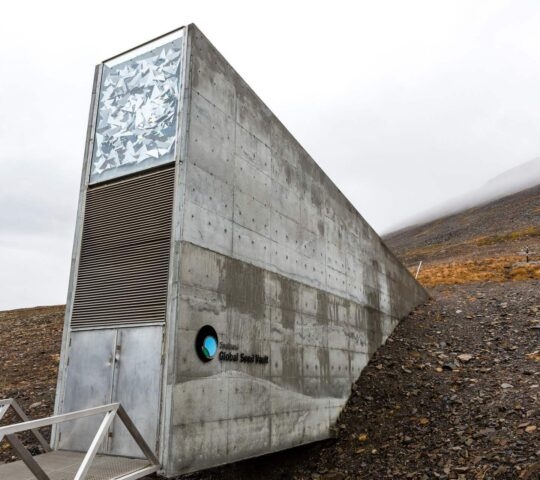 The global seed vault in Svalbard