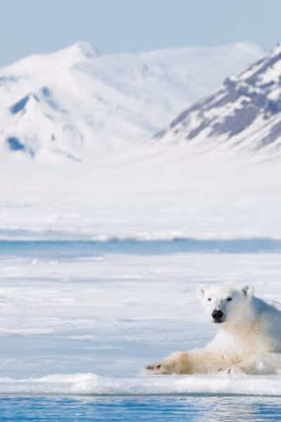Ten days of Arctic wonder and wildlife