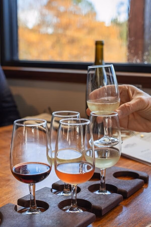 Collection of wine glasses with different wines at a tasting experience as a hand picks one up.
