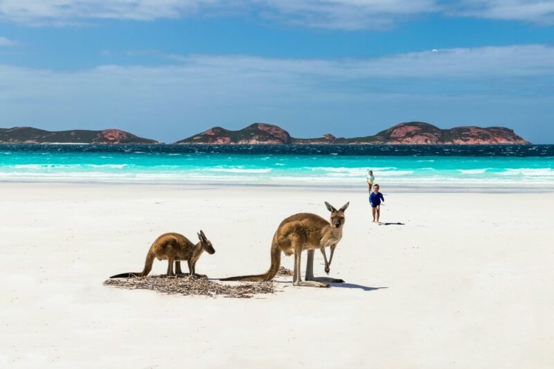 children in Kangaroo island on the beach Australia